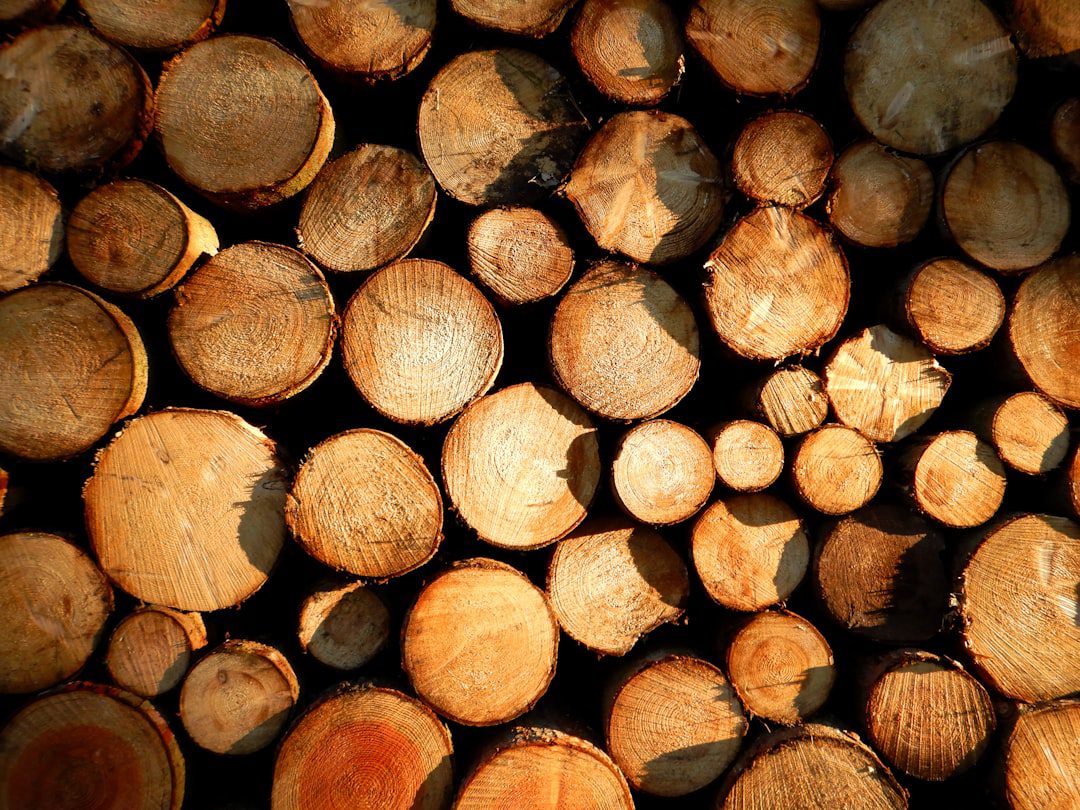 Dressing sur mesure Leroy Merlin : guide pratique et 5 critères essentiels pour bien choisir 4 Dressing tendance 2026 en bois naturel avec éclairage LED intégré