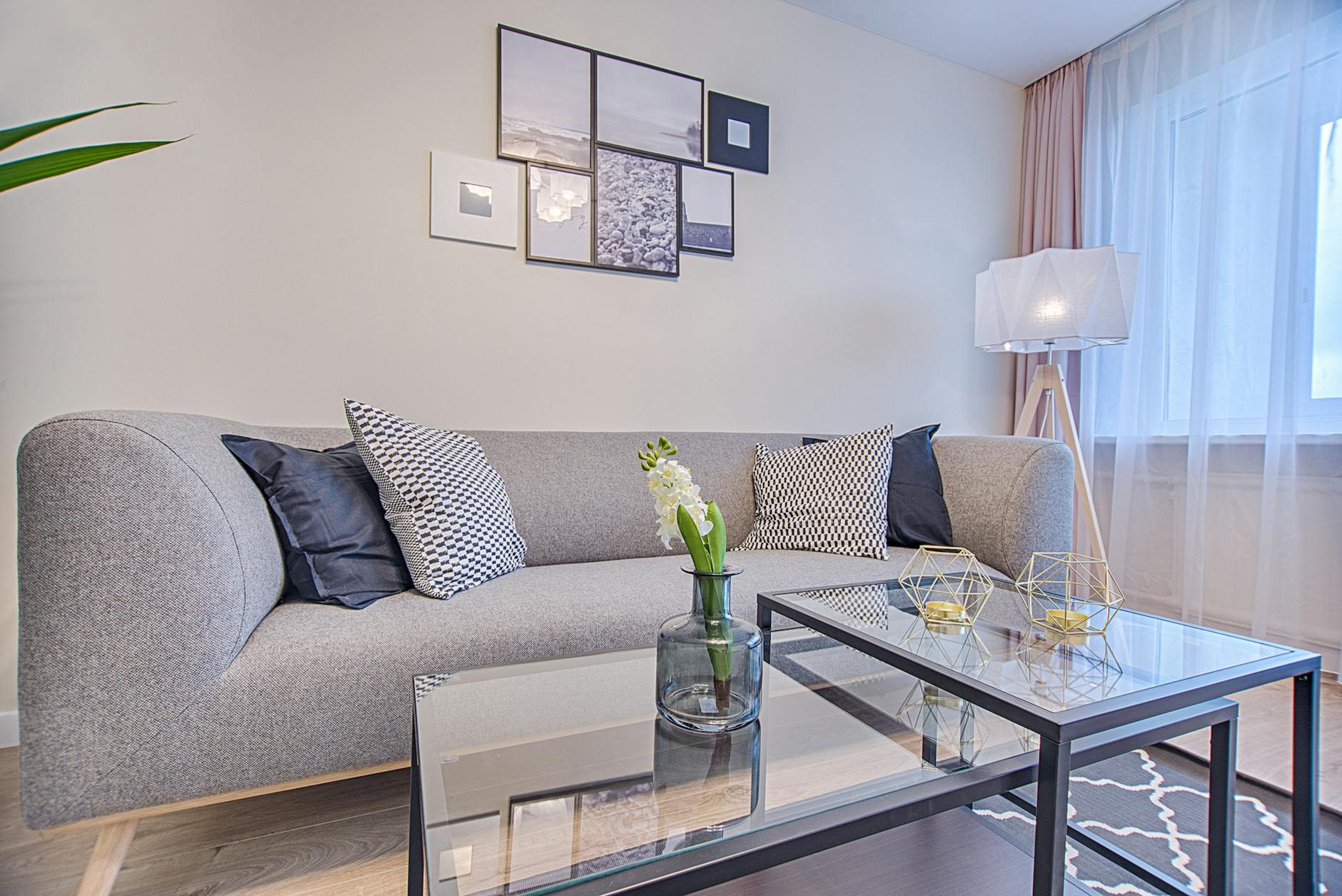 Guide pratique du home staging immobilier : 5 méthodes efficaces en 2026 1 Salon épuré et lumineux après une séance de home staging immobilier
